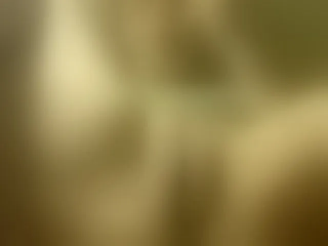 Live sex webcam photo for esterjohns #293276985