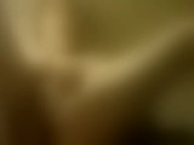 Live sex webcam photo for esterjohns #293666271