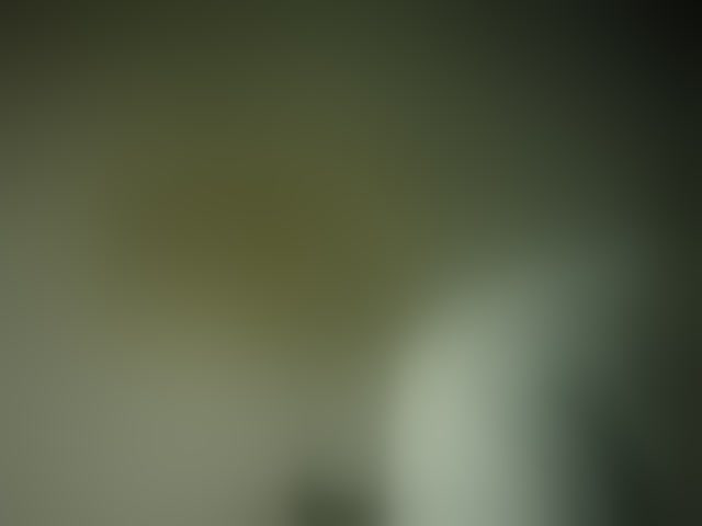 Live sex webcam photo for esterjohns #294204890
