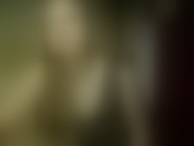Live sex webcam photo for esterjohns #294337154
