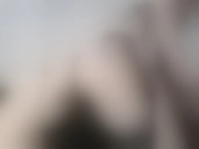 Live sex webcam photo for evaangel #293383467