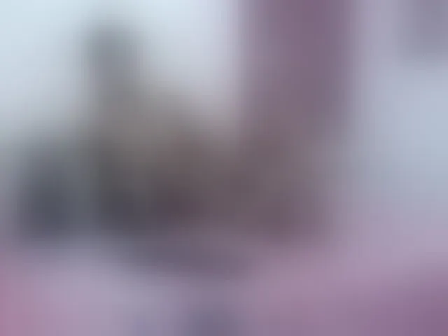 Live sex webcam photo for evans-aria #276540518