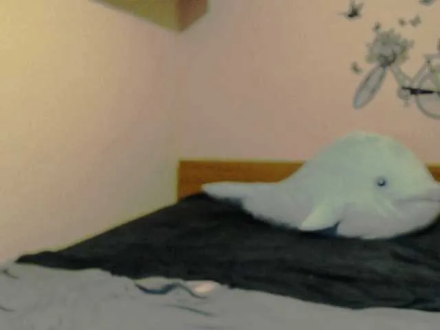 Live sex webcam photo for evarette #272452560