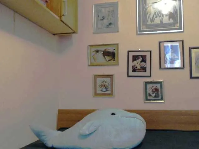 Live sex webcam photo for evarette #274155531