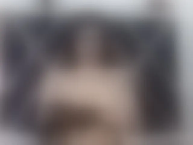 Live sex webcam photo for evelingjoyy #292558466