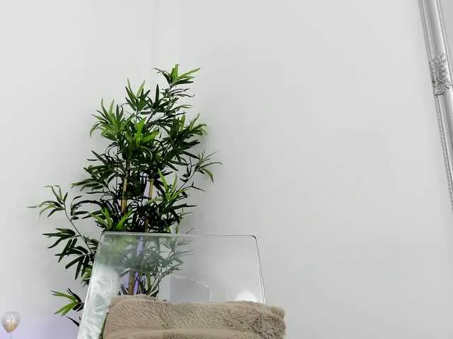 Live sex webcam photo for eveliniris #277811658