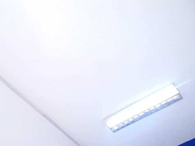 Live sex webcam photo for exotic-karmella #277916576