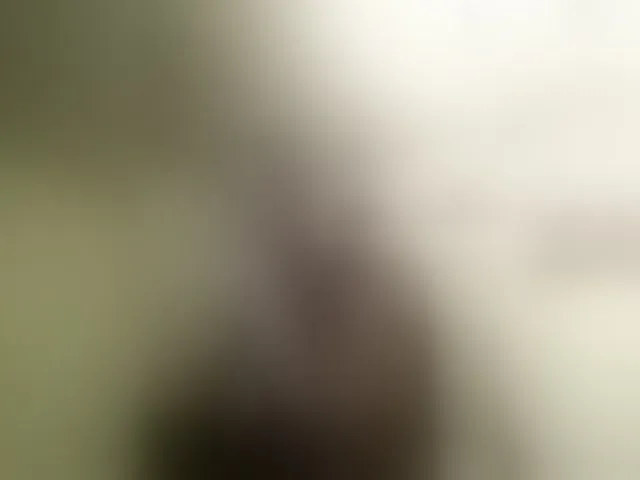 Live sex webcam photo for f1tness-man #293087968