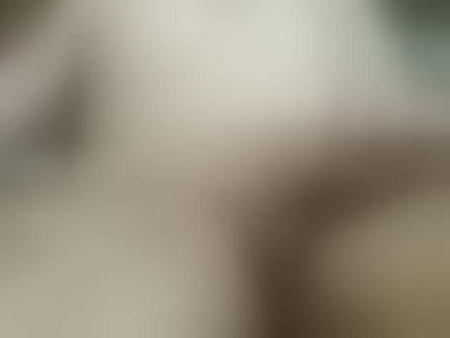 Live sex webcam photo for fabrice163 #294062919
