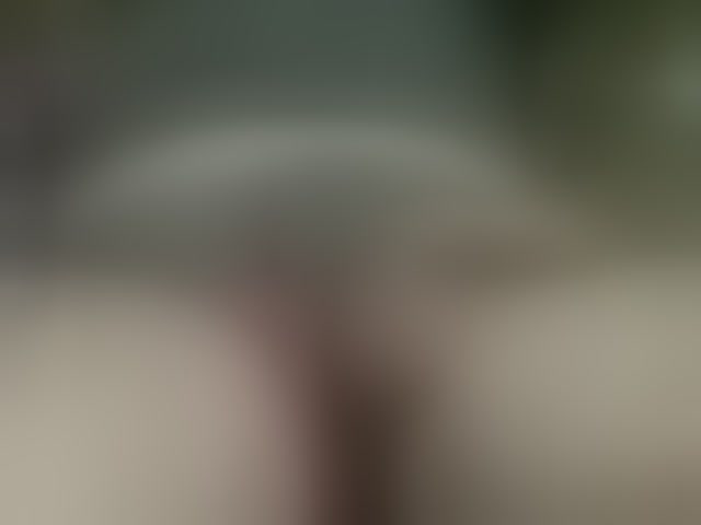 Live sex webcam photo for fabrice163 #294119427