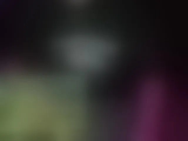 Live sex webcam photo for fame #293253448