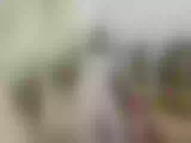 Live sex webcam photo for family2020 #290275966