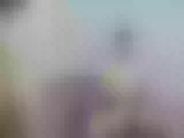 Live sex webcam photo for FanaticLovers #277242560