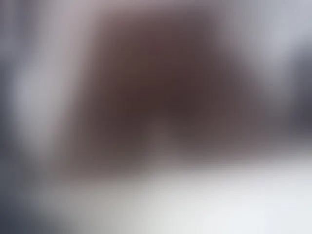 Live sex webcam photo for fariana #293729785