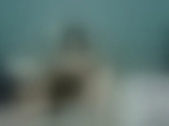 Live sex webcam photo for farianaall #292677799