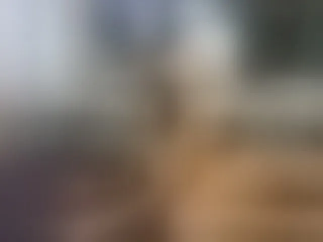 Live sex webcam photo for farianaall #294217249