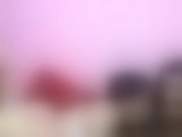 Live sex webcam photo for farianachocolatecrememia #290819588