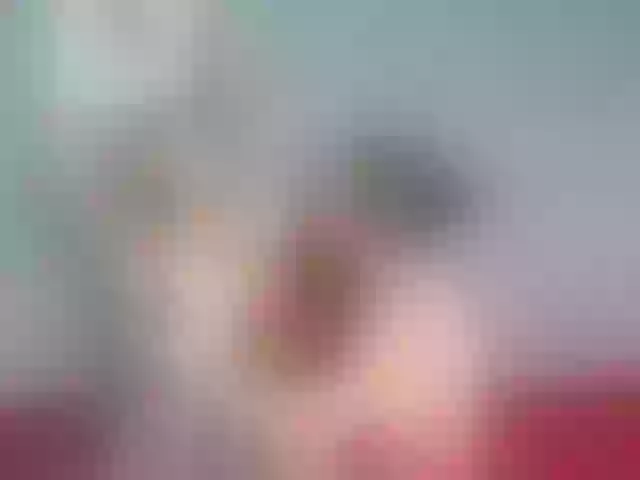 Live sex webcam photo for farianachocolatecrememia #291552028