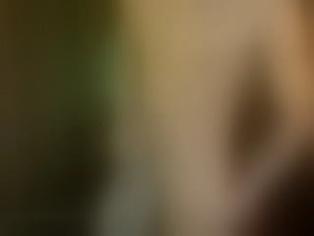 Live sex webcam photo for fearlessboy #293022850