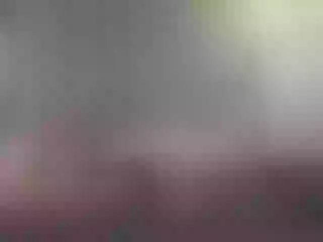 Live sex webcam photo for fire-girls #290885028