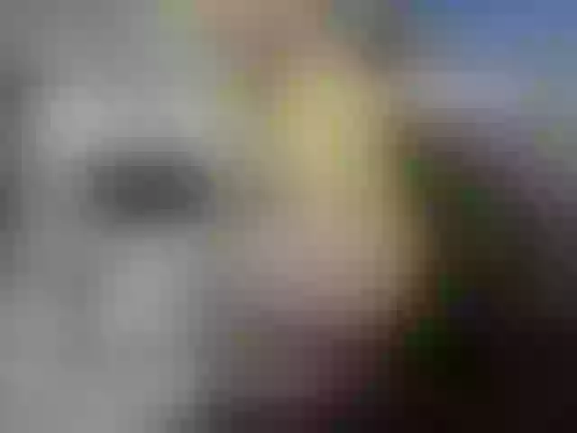 Live sex webcam photo for firstMaja #291176734