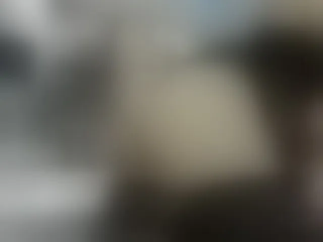 Live sex webcam photo for firstMaja #293577521