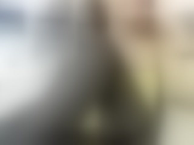 Live sex webcam photo for firstMaja #294239533