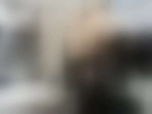 Live sex webcam photo for firstMaja #294306985