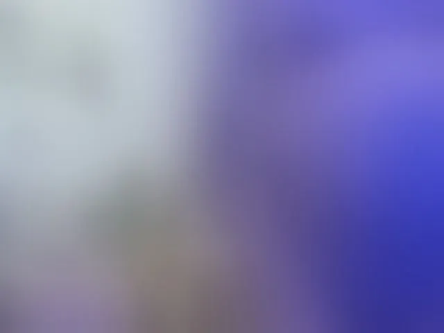 Live sex webcam photo for fistinsexfuture #290796353