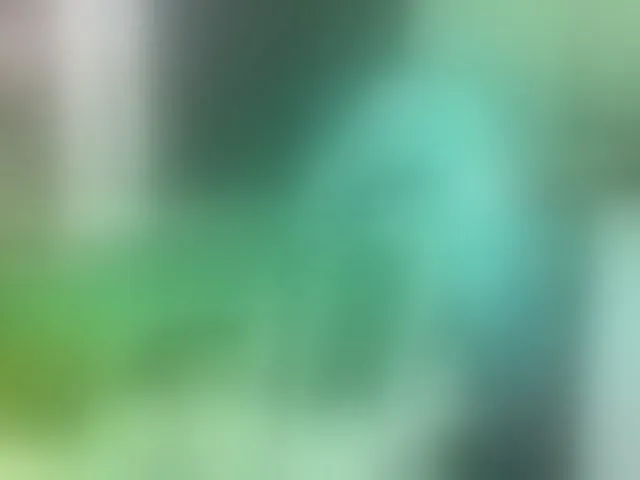 Live sex webcam photo for folinskaayaa #293953155