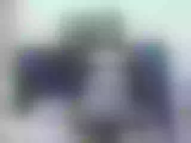 Live sex webcam photo for francheskapower #290232249