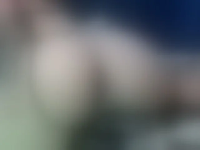 Live sex webcam photo for francheskapower #291089133