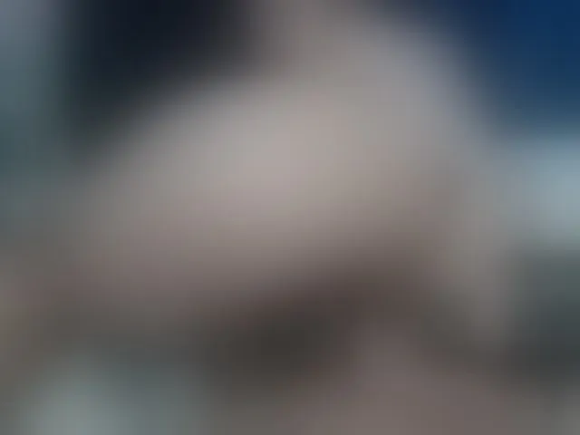 Live sex webcam photo for francheskapower #291104518