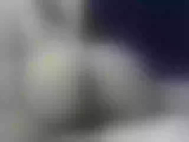 Live sex webcam photo for francheskapower #291148240