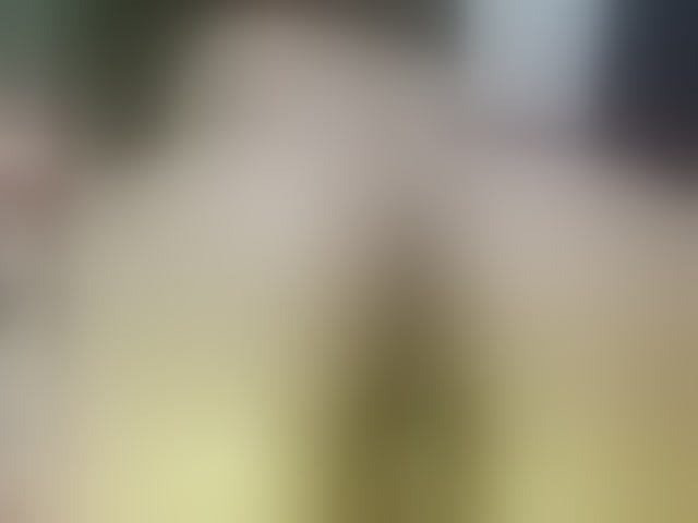 Live sex webcam photo for francheskapower #292135071