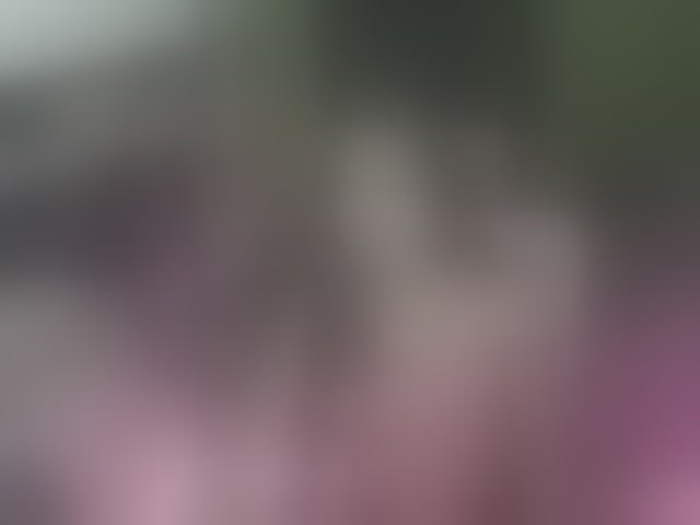 Live sex webcam photo for fuck-ivoryxxx #294067802