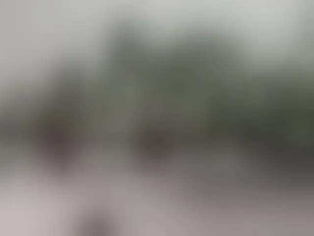 Live sex webcam photo for fymryn #292523182