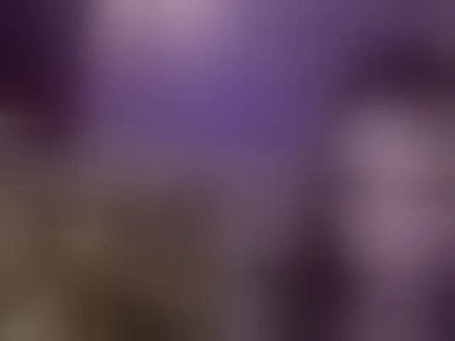 Live sex webcam photo for fymryn #292551750