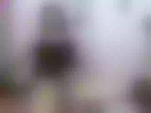 Live sex webcam photo for gabrielahot74 #277718878