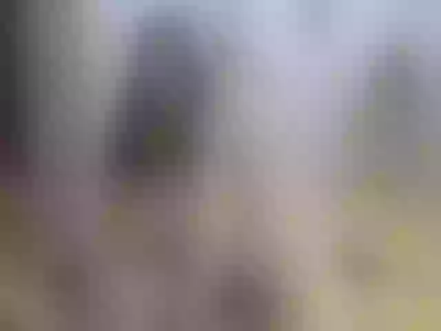Live sex webcam photo for gabrielahot74 #277827464