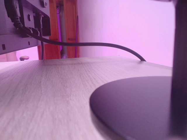 Live sex webcam photo for gabry-leone #290922857