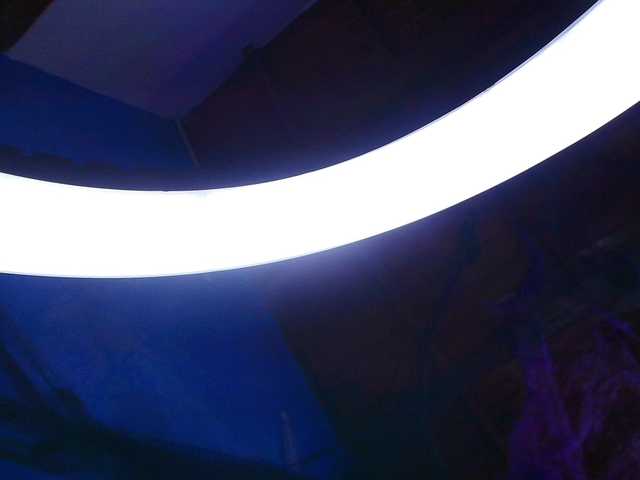 Live sex webcam photo for gabry-leone #292166018