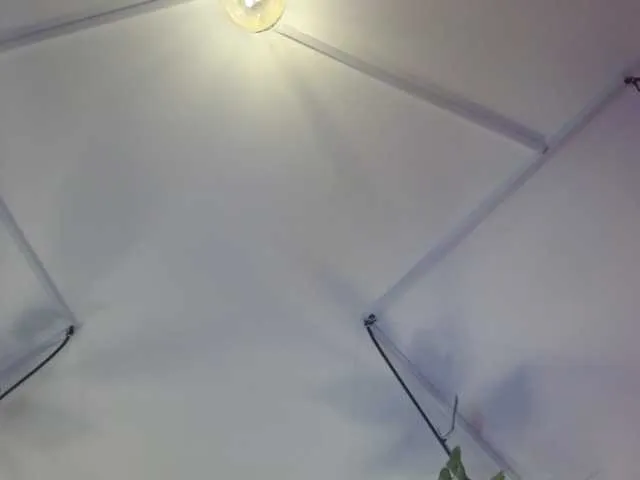 Live sex webcam photo for gabythx #276143139