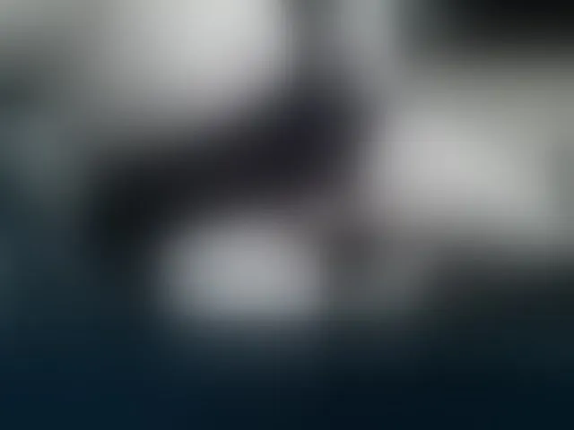 Live sex webcam photo for geca06 #293114933