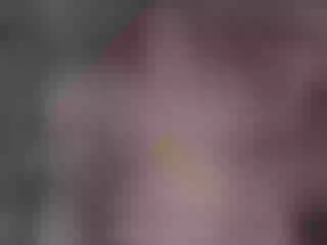 Live sex webcam photo for giamorrys #291311849
