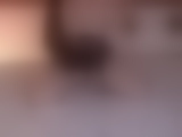 Live sex webcam photo for ginebranova