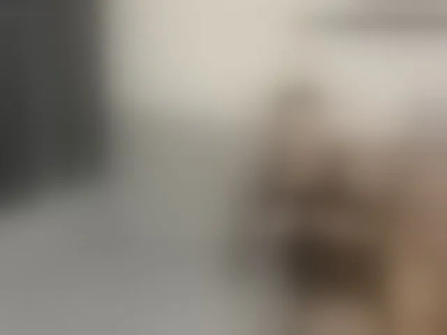 Live sex webcam photo for gingerbreads #292537518