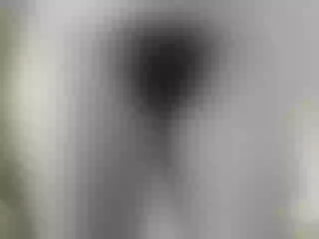 Live sex webcam photo for girasol-walto #275492150