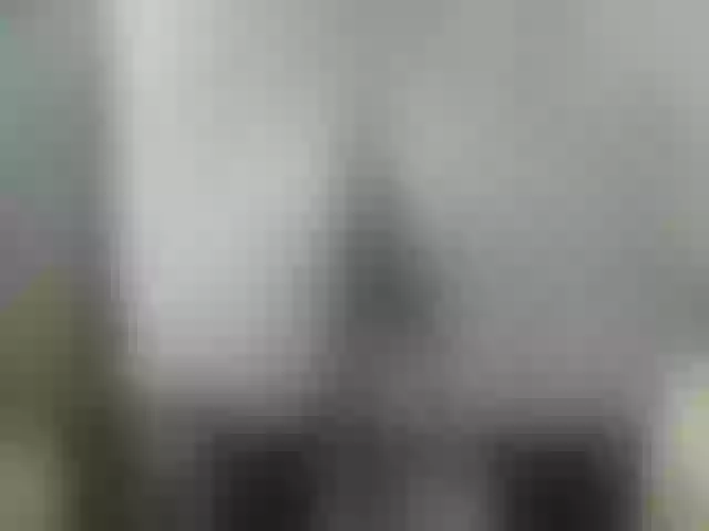 Live sex webcam photo for girasol-walto #276102267