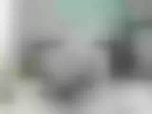 Live sex webcam photo for girasol-walto #276171669